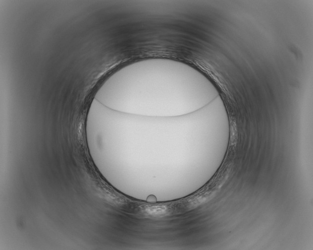 X0000111680355200908141455