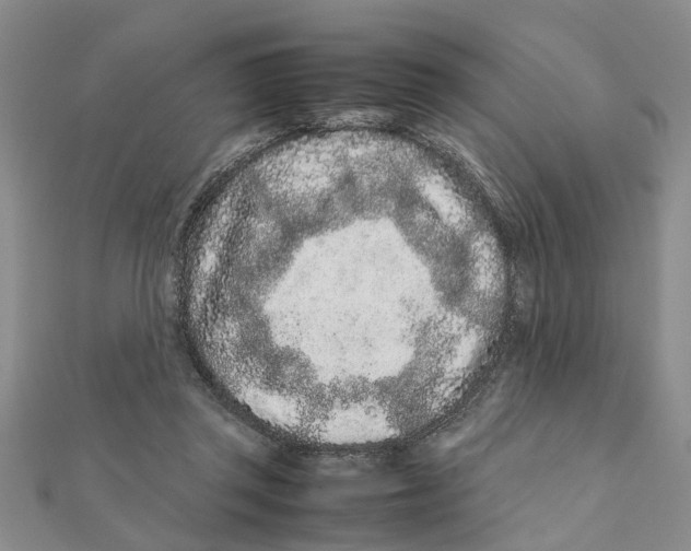 X0000111680357200908141455