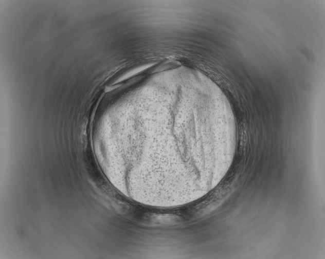 X0000111680360200908141455