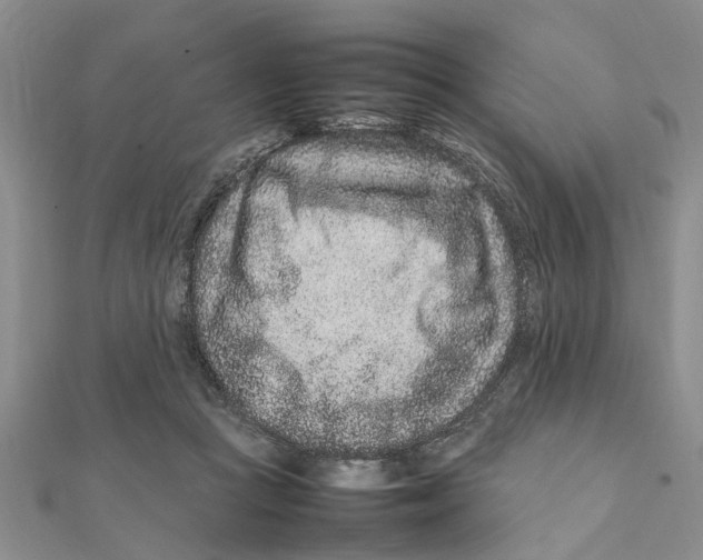 X0000111680361200908141455