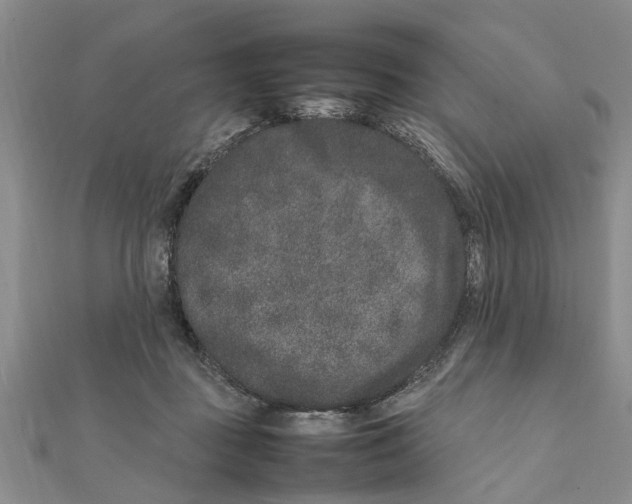 X0000111680363200908141455