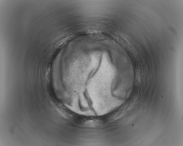 X0000111680364200908141455