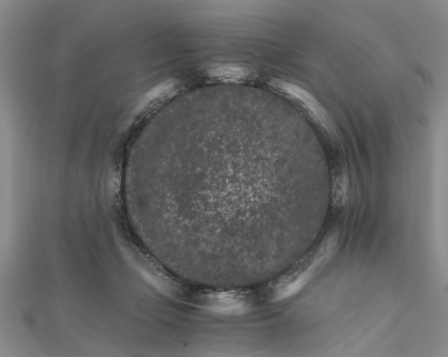 X0000111680365200908141455