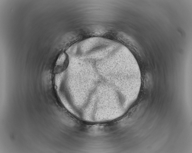 X0000111680366200908141455