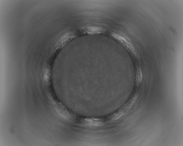 X0000111680367200908141455