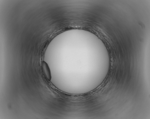 X0000111680368200908141455