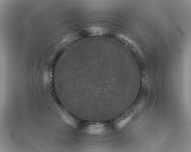 X0000111680369200908141455