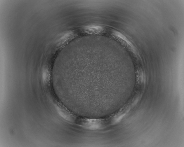 X0000111680371200908141455