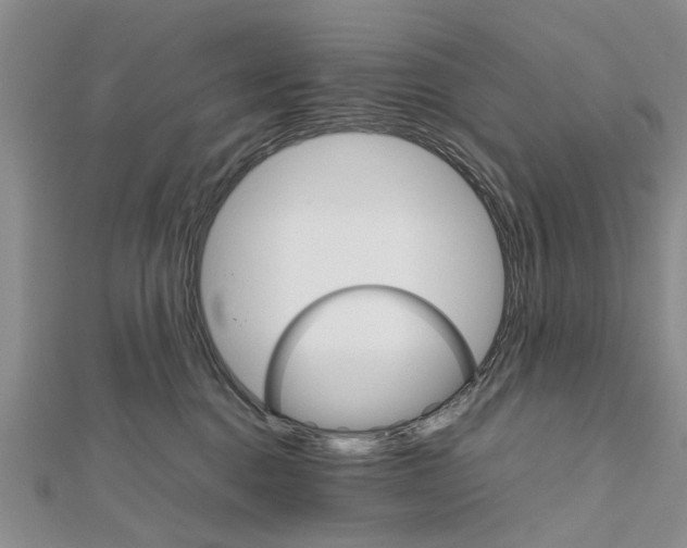 X0000111680376200908141455