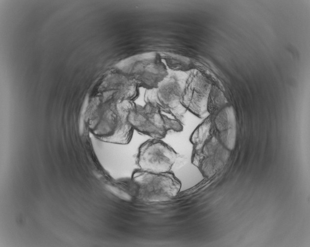 X0000111680377200908141455