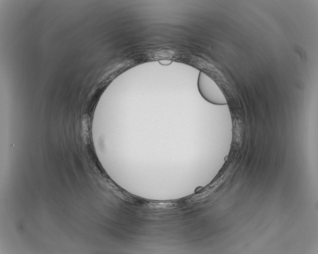 X0000111680378200908141455