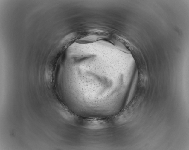 X0000111680379200908141455