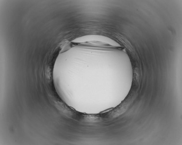 X0000111680380200908141455