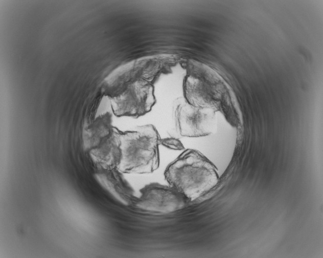 X0000111680381200908141455