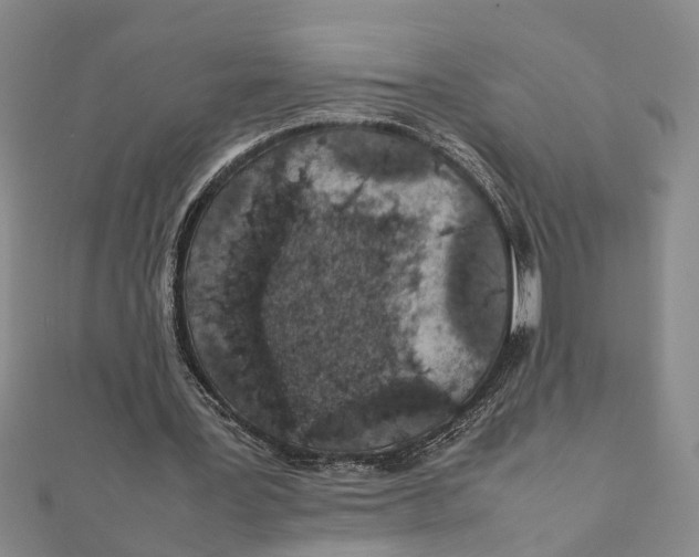 X0000111680387200908141454