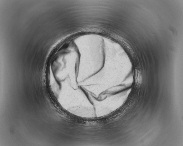 X0000111680388200908141454