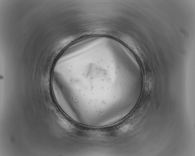 X0000111680389200908141454