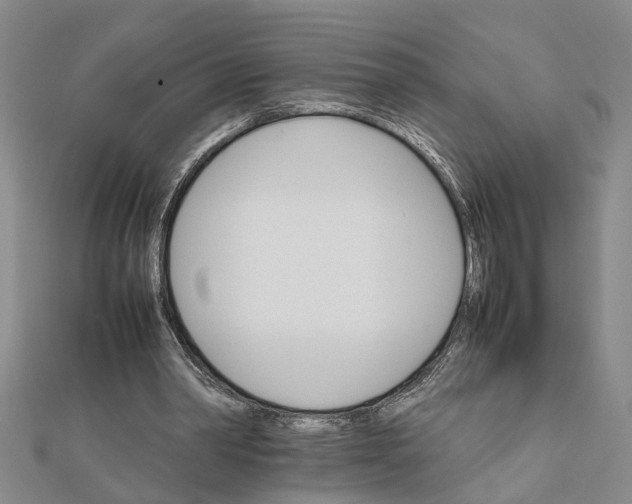 X0000111680390200908141454