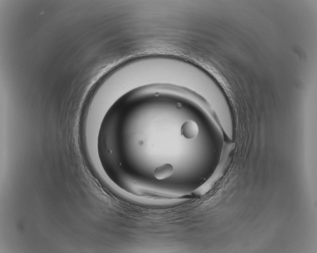 X0000111680391200908141454