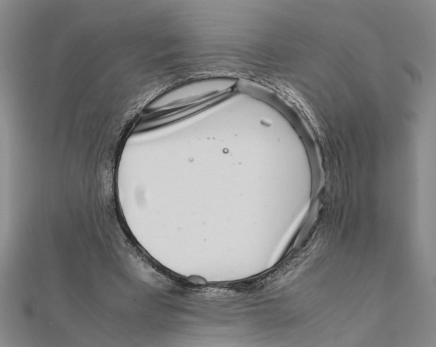 X0000111680393200908141454