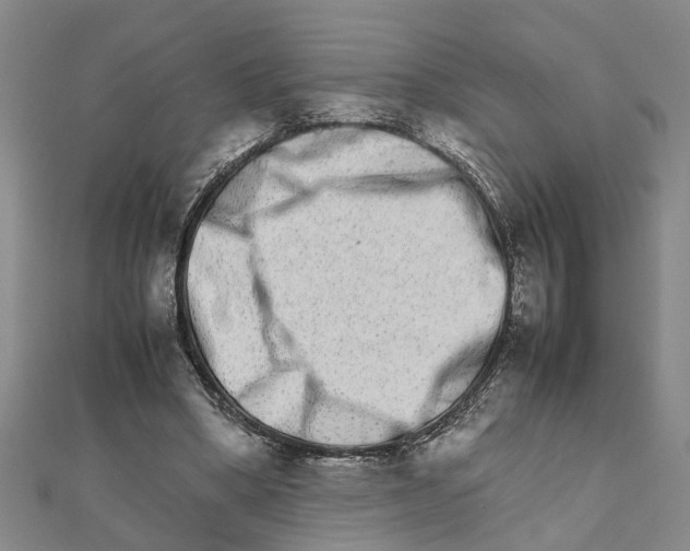 X0000111680394200908141454