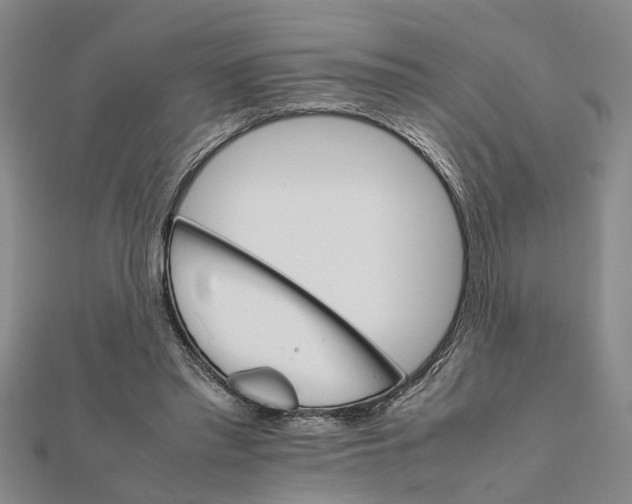 X0000111680397200908141454