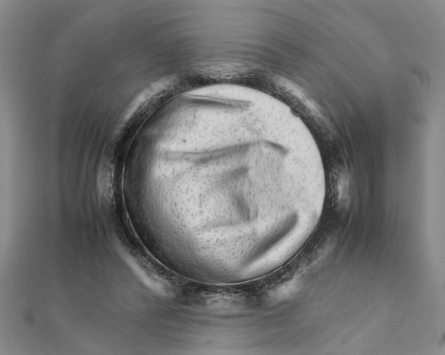 X0000111680400200908141454