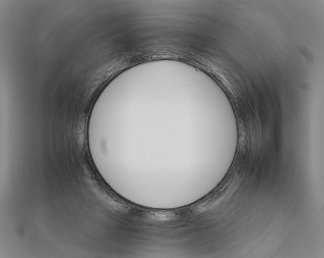 X0000111680402200908141454