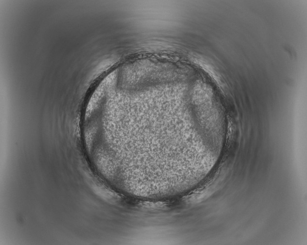 X0000111680403200908141454