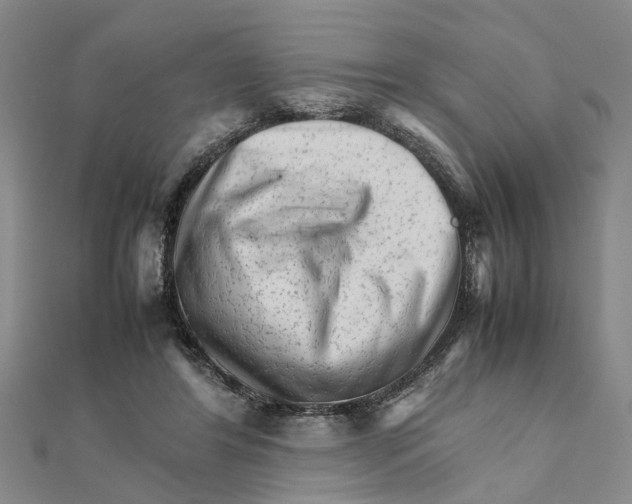 X0000111680404200908141454