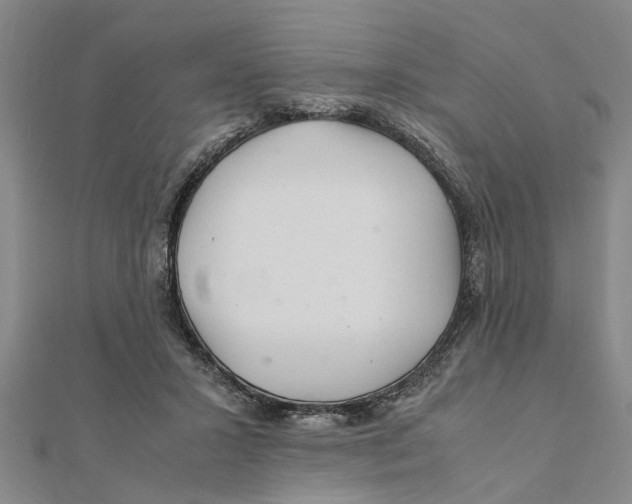 X0000111680407200908141454