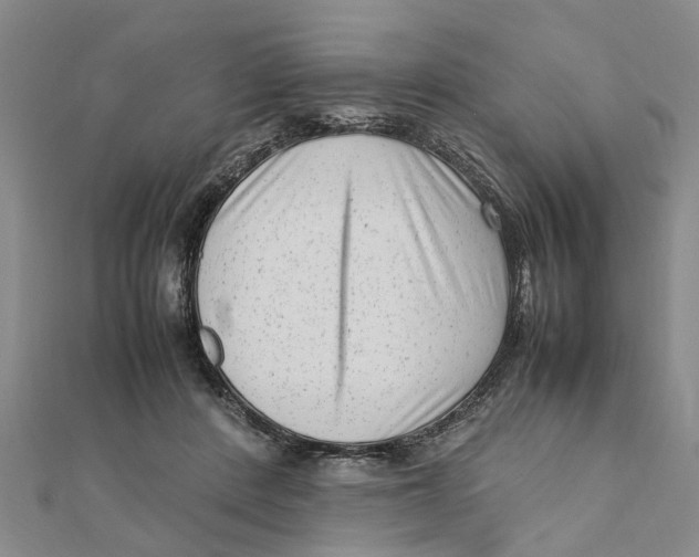 X0000111680408200908141454