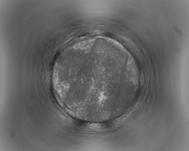 X0000111680409200908141454