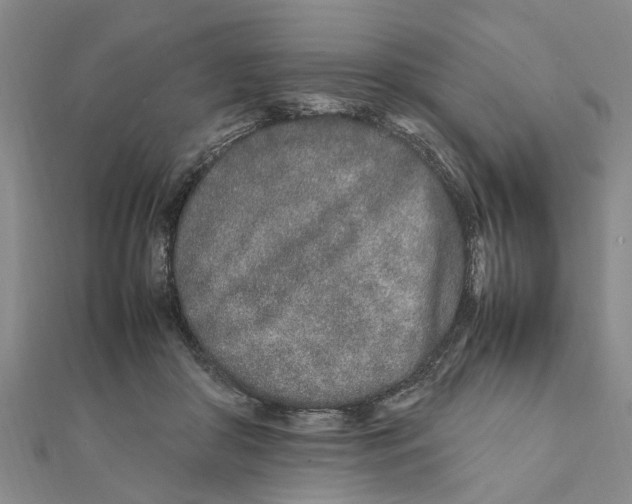 X0000111680410200908141454