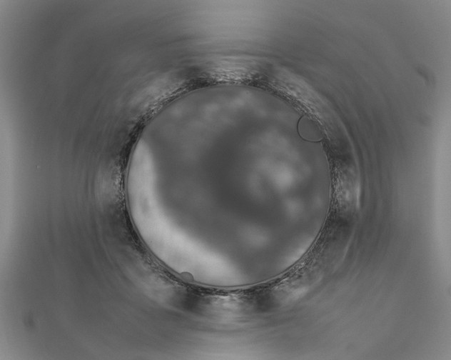 X0000111680411200908141454