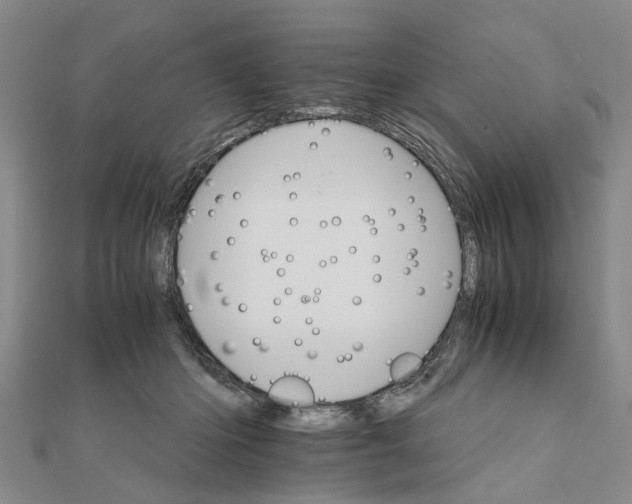 X0000111680414200908141454