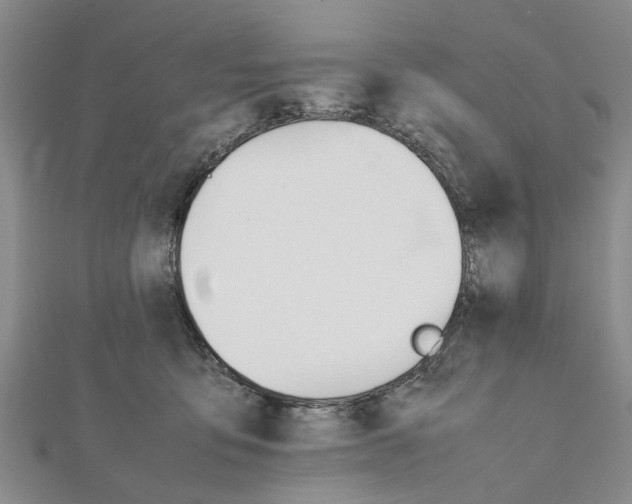 X0000111680419200908141454