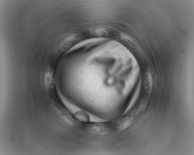 X0000111680420200908141454