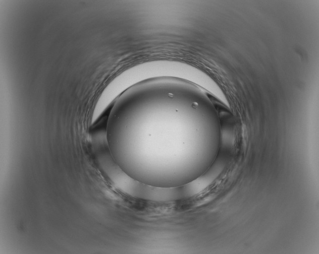 X0000111680421200908141454