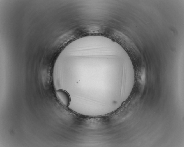 X0000111680422200908141454