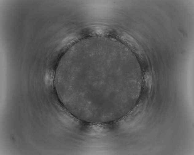 X0000111680423200908141454