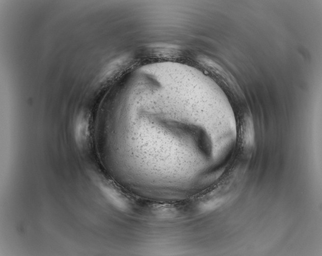 X0000111680424200908141454