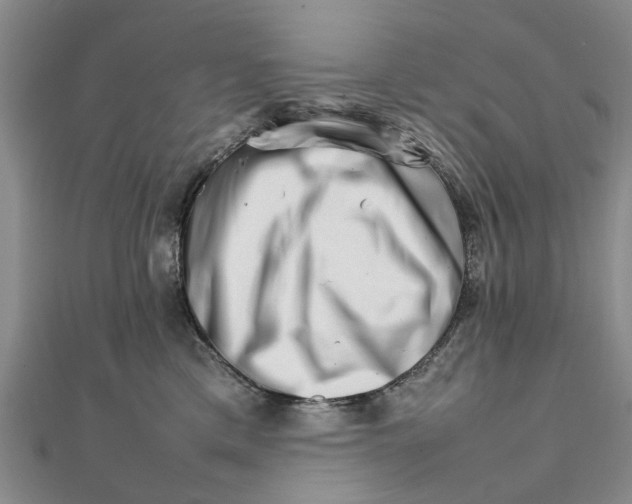 X0000111680425200908141454