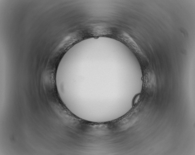 X0000111680426200908141454