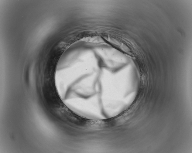 X0000111680429200908141454