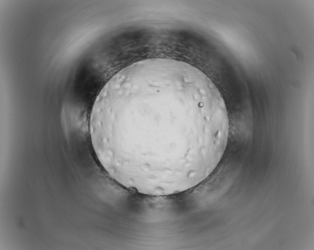 X0000111680431200908141454