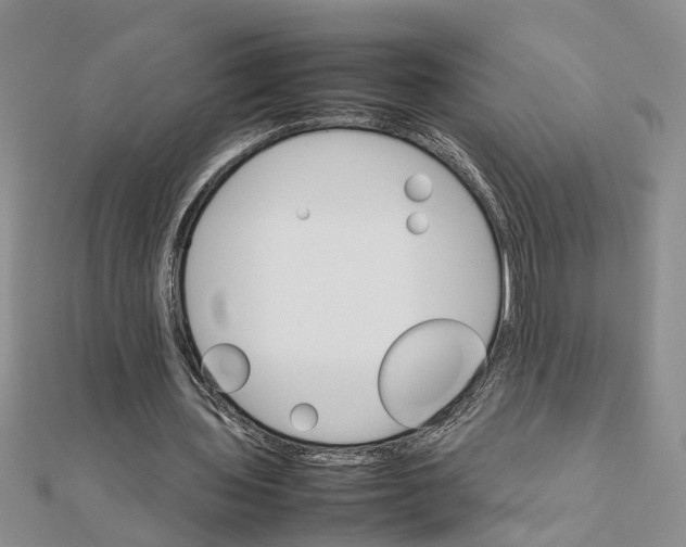 X0000111680435200908141453