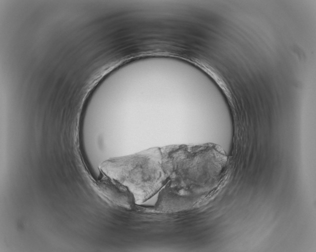 X0000111680437200908141453