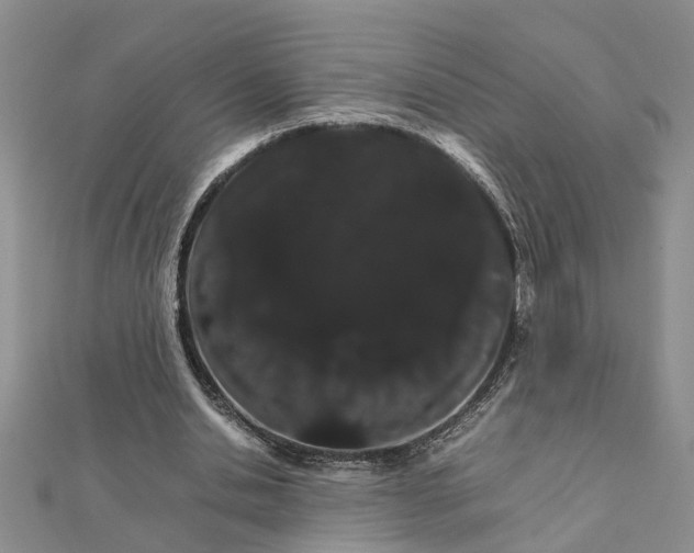 X0000111680438200908141453