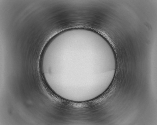 X0000111680439200908141453